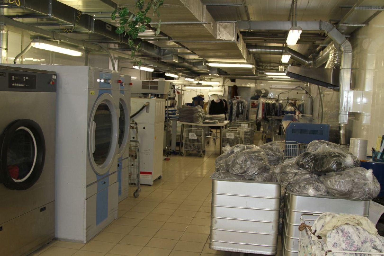 Звенигород, экономика, фабрика химчистки, благотворительный фонд помощи семьям, социальный бизнес, предприниматель Александра Степанцова