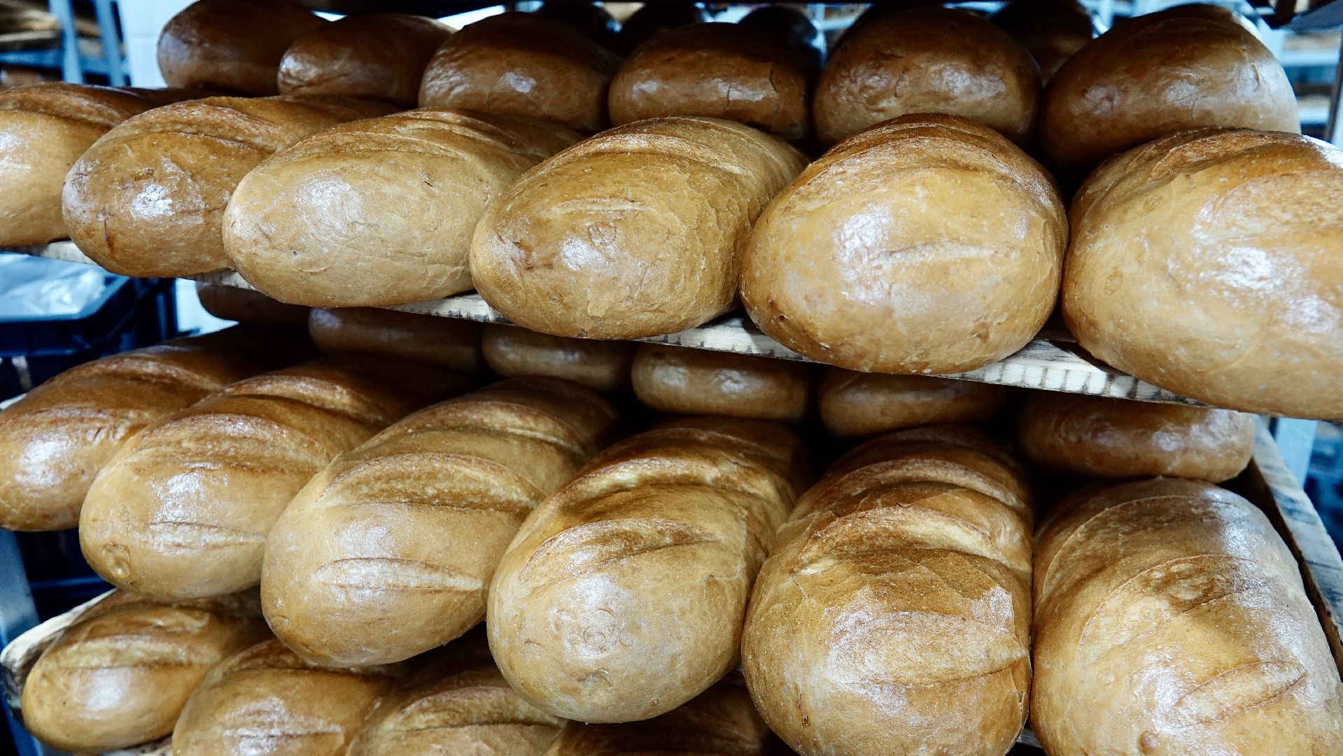 промышленный туризм, сво, сергиево-посадский городской округ, сергиев посад, бизнес, экономика, трудоустройство, поддержка участников сво ,