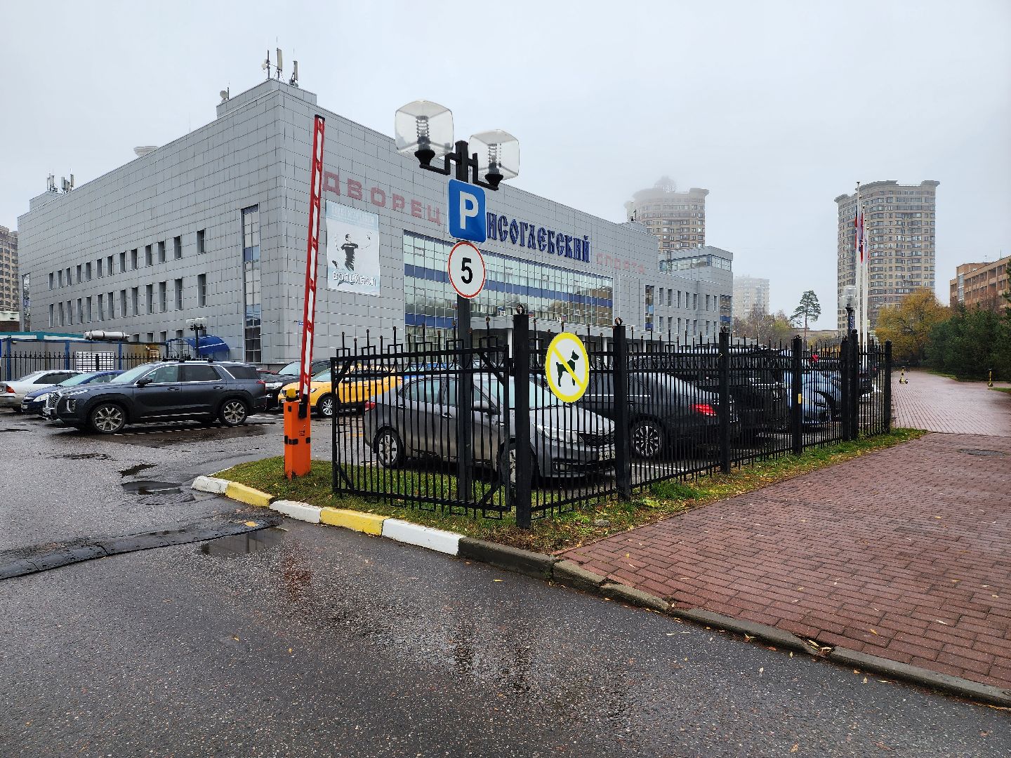 раменское, спорт, соревнования по спорту слепых, кубок чемпионов россии по дзюдо,