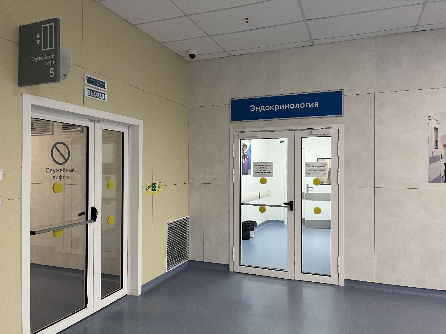 эндокринолог, красногорск, рошаль,