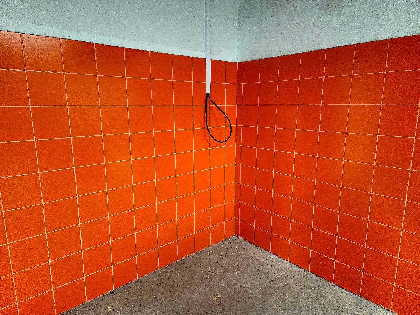 солнечногорск, строительство , образование , школа , дети,