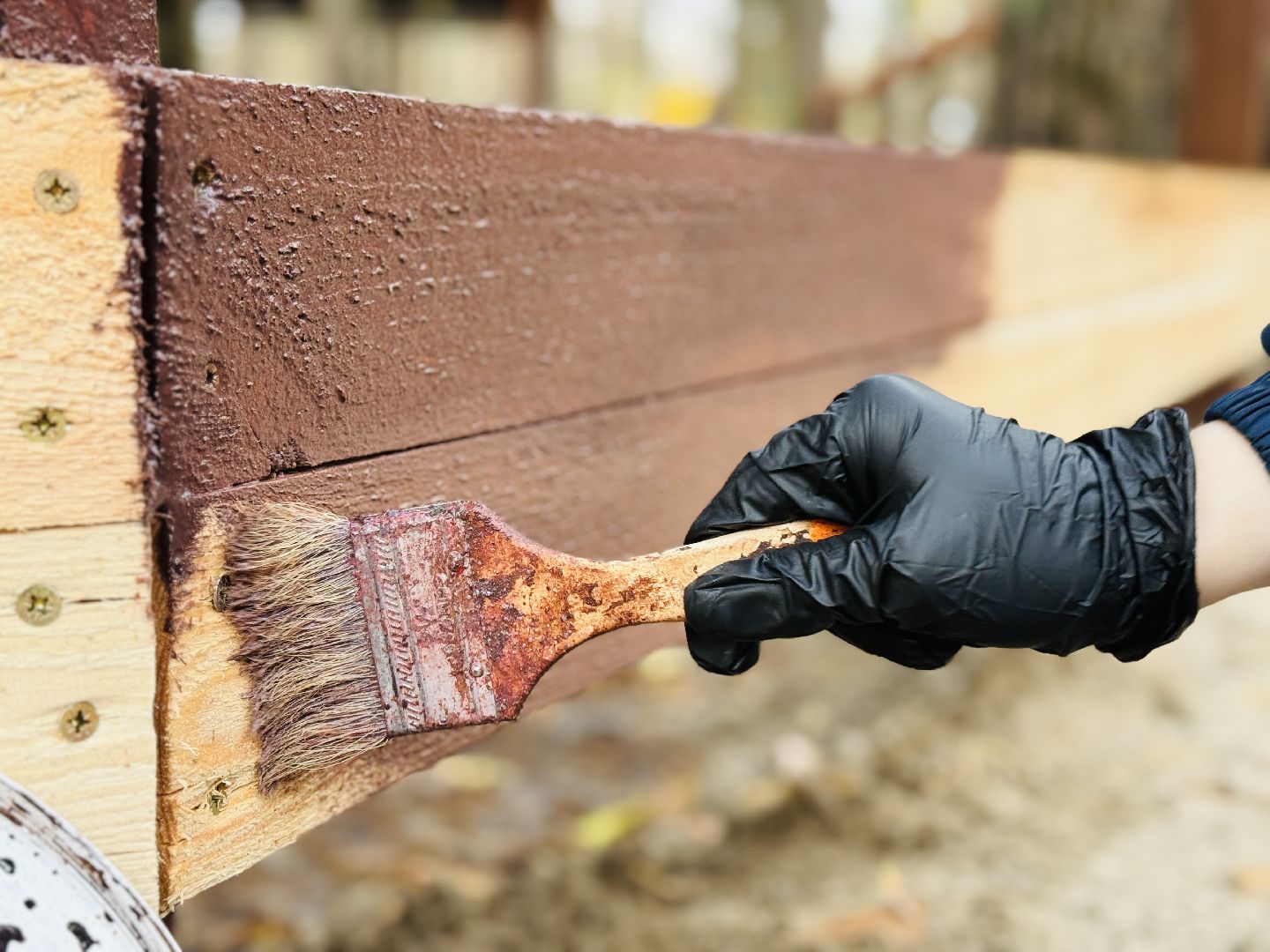 каток, раменское, лесной каток, прайм парк,  зима в подмосковье,