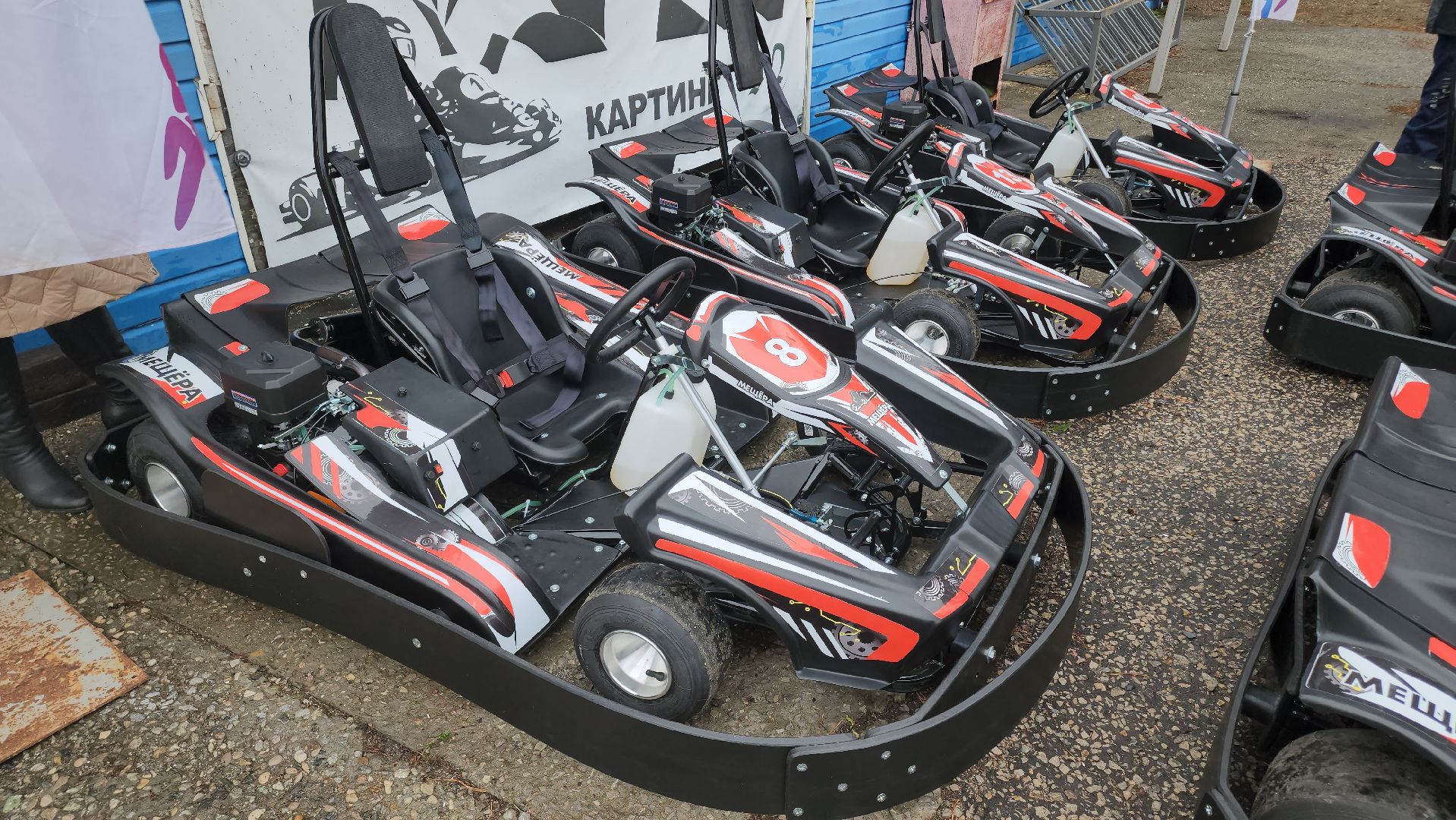 Егорьевск , Подмосковье , Московская область ,