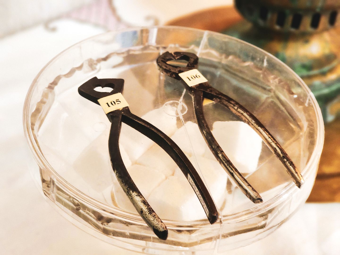 пущино, серпухов, день бабушек и дедушек, музей,