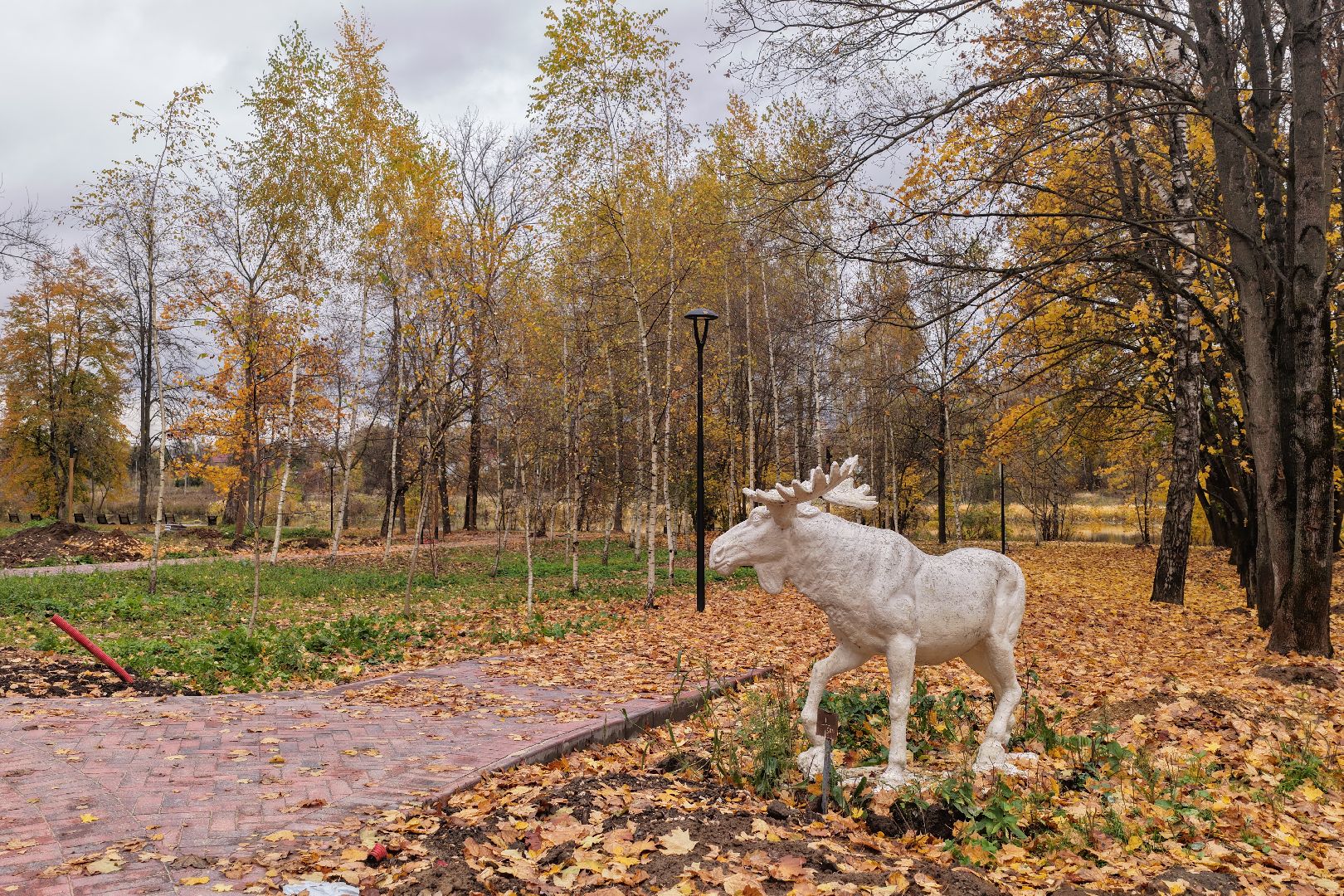 видео с коптера, центральный парк щелково, благоустройство щелково,
