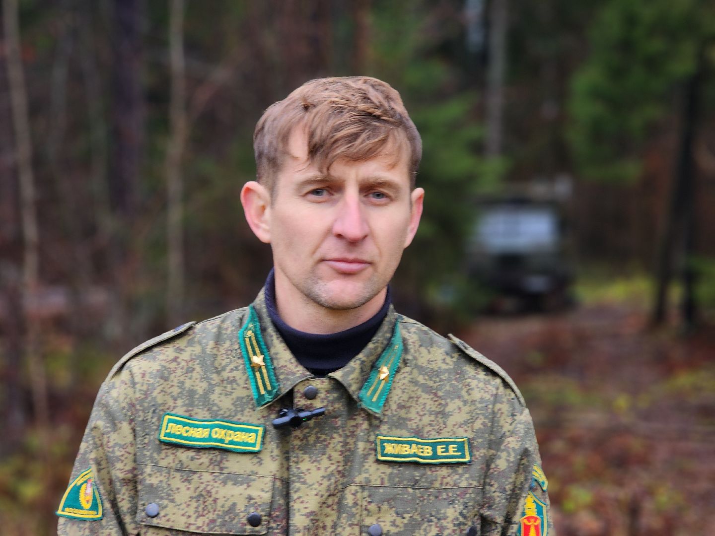 сергиев посад, сергиево-посадский городской округ, высоково, мособллес, санитарная вырубка, выборочная рубка, санитарно-оздоровительные мероприятия, леса подмосковья,