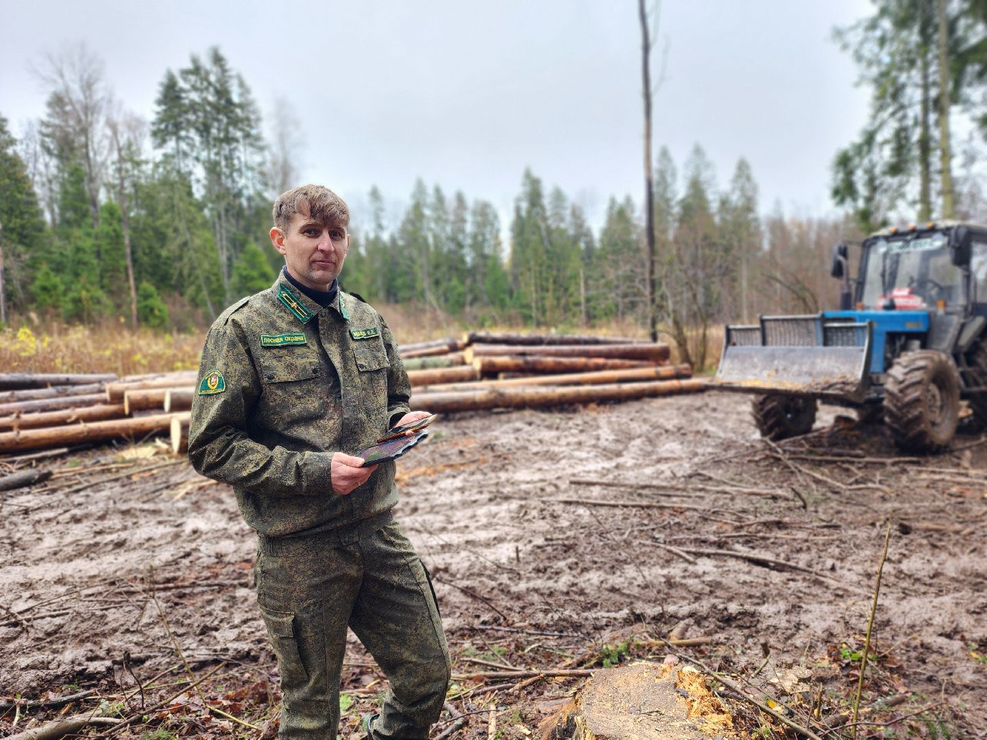 сергиев посад, сергиево-посадский городской округ, высоково, мособллес, санитарная вырубка, выборочная рубка, санитарно-оздоровительные мероприятия, леса подмосковья,