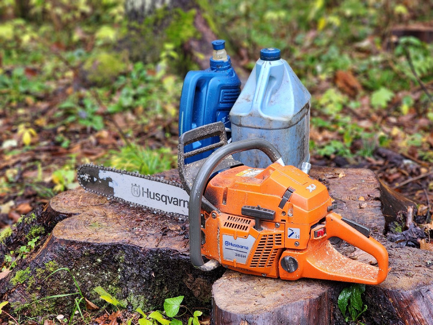 сергиев посад, сергиево-посадский городской округ, высоково, мособллес, санитарная вырубка, выборочная рубка, санитарно-оздоровительные мероприятия, леса подмосковья,