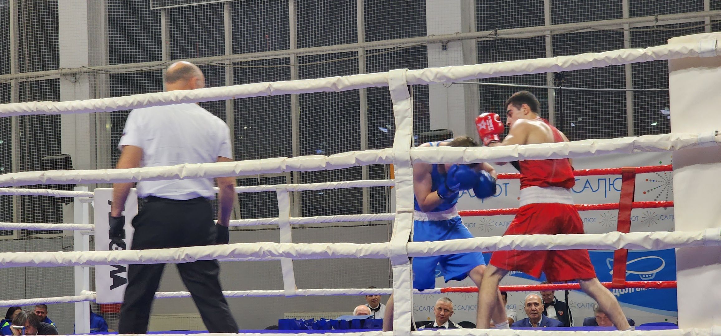 долгопрудный, турнип памяти владимира невского, бокс, кмс, мастер спорта, юниоры,