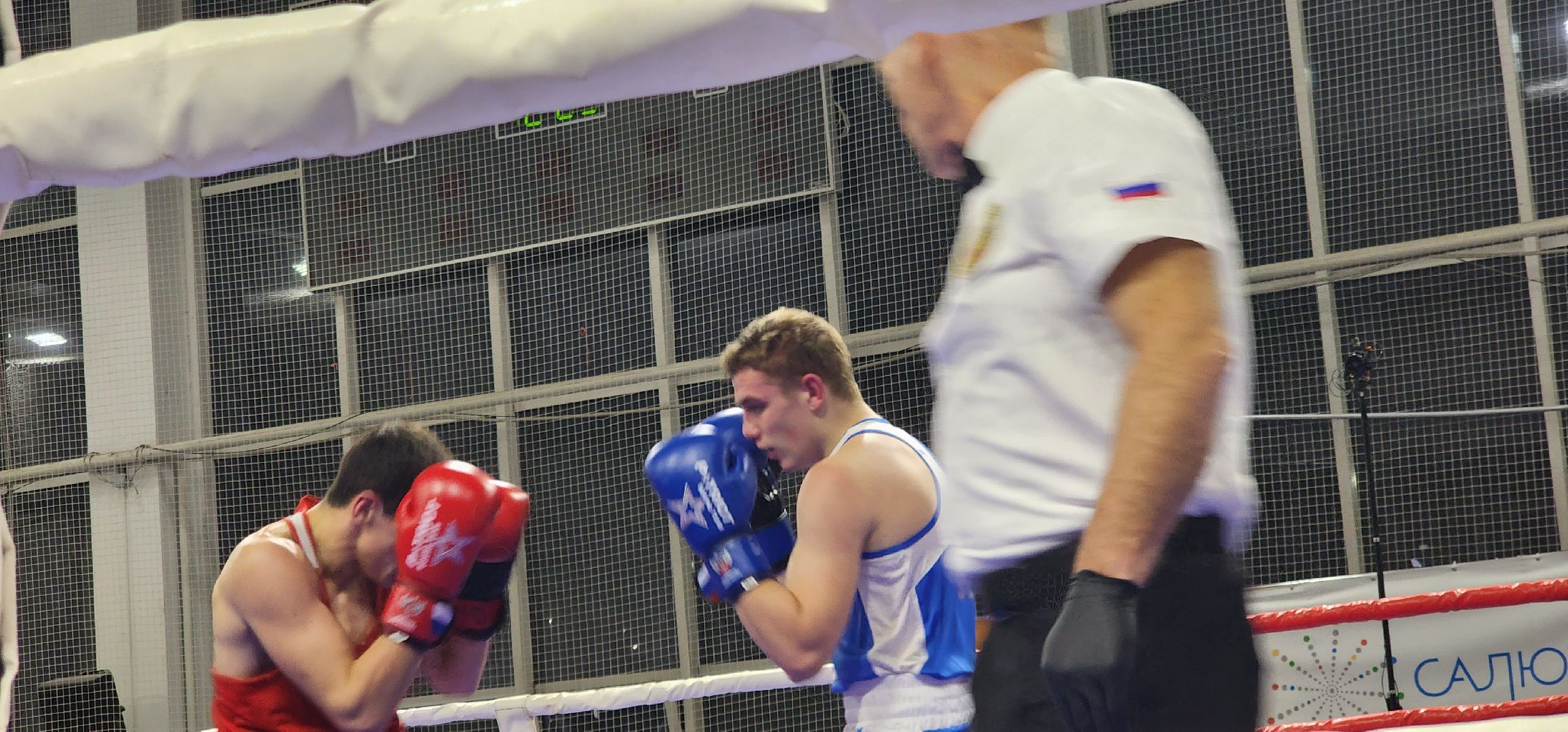 долгопрудный, турнип памяти владимира невского, бокс, кмс, мастер спорта, юниоры,