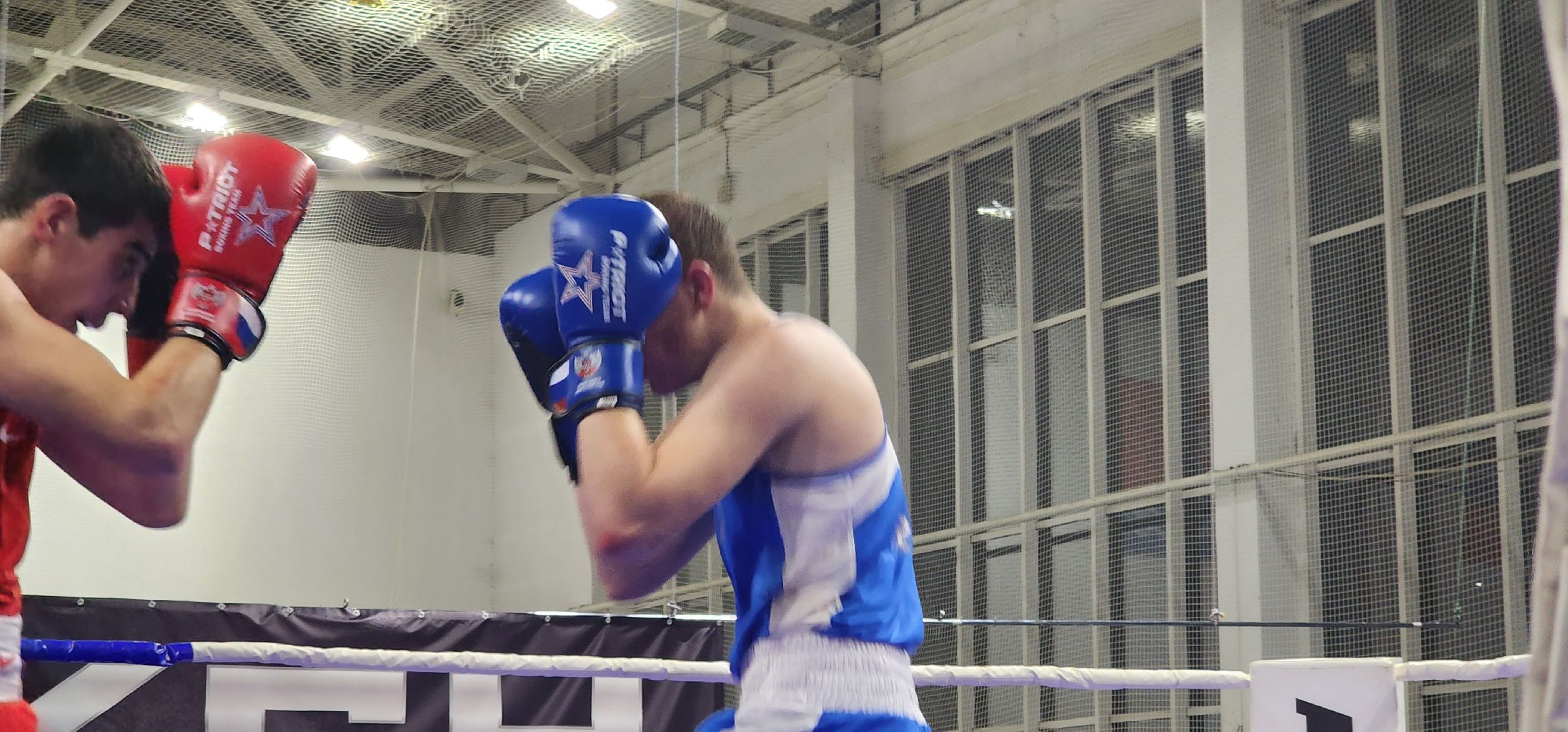 долгопрудный, турнип памяти владимира невского, бокс, кмс, мастер спорта, юниоры,