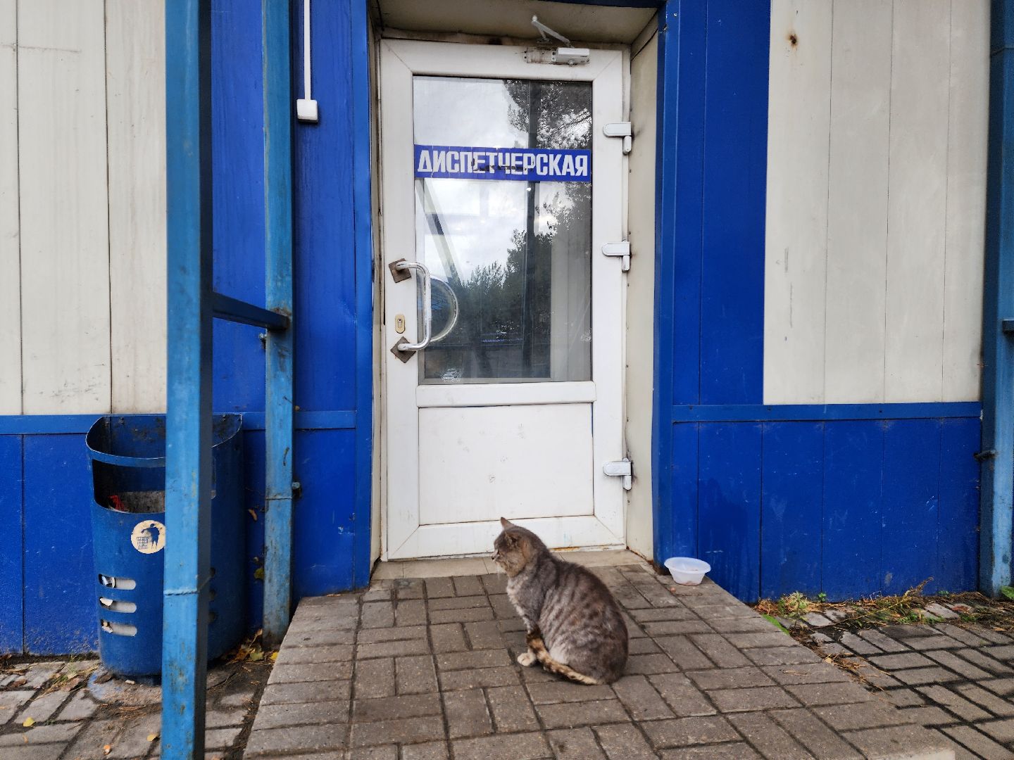чехов, мострансавто, производственная база чехов, мойка для автобусов, автомойка, автоматическая мойка, очистка транспорта, техническое обслуживание, текущий ремонт, подготовка к рейсам, автопарк, маршруты, технический персонал, директор пб чехов, алексей коркин,вакансии, трудоустройство,