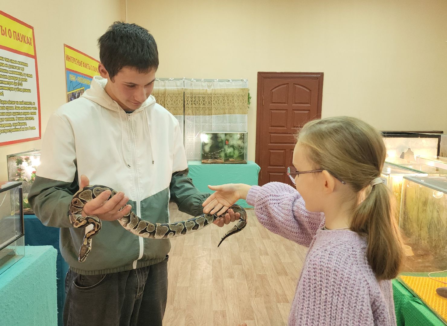 выставка экзотических насекомых, музеи подмосковья, ликино-дулево, орехово-зуевский округ,