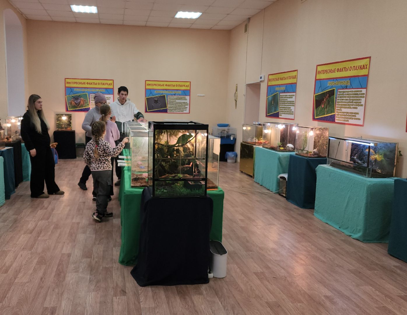 выставка экзотических насекомых, музеи подмосковья, ликино-дулево, орехово-зуевский округ,