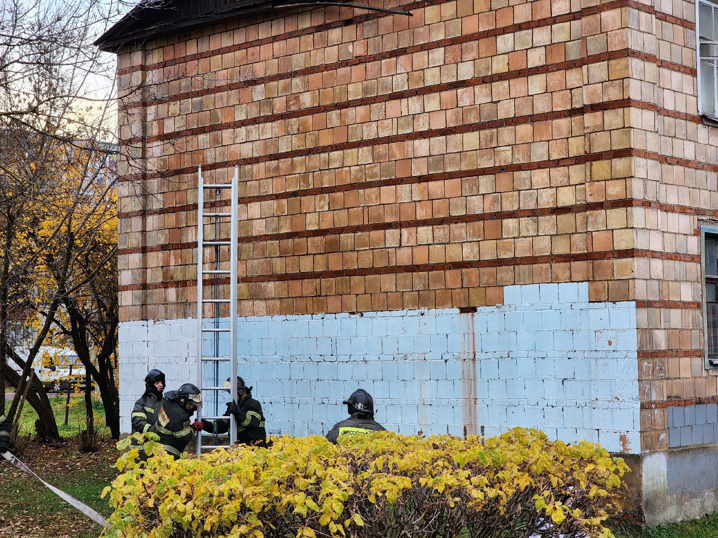 пожар, возгорание,  чп, старая купавна, богородский городской округ,