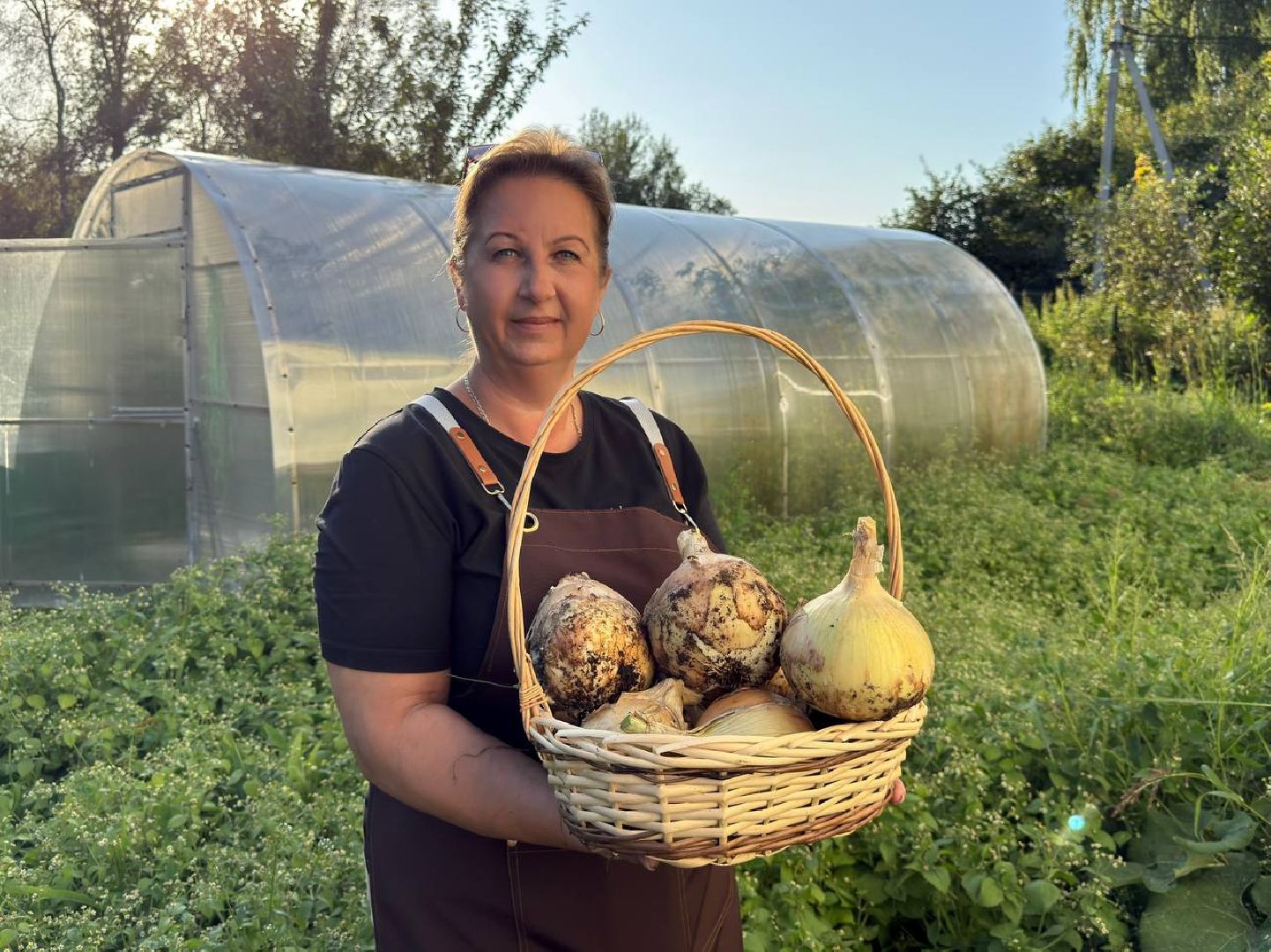 можайск, можайский муниципальный округ, подмосковье, общество, овощи-гиганты, огород, урожай,