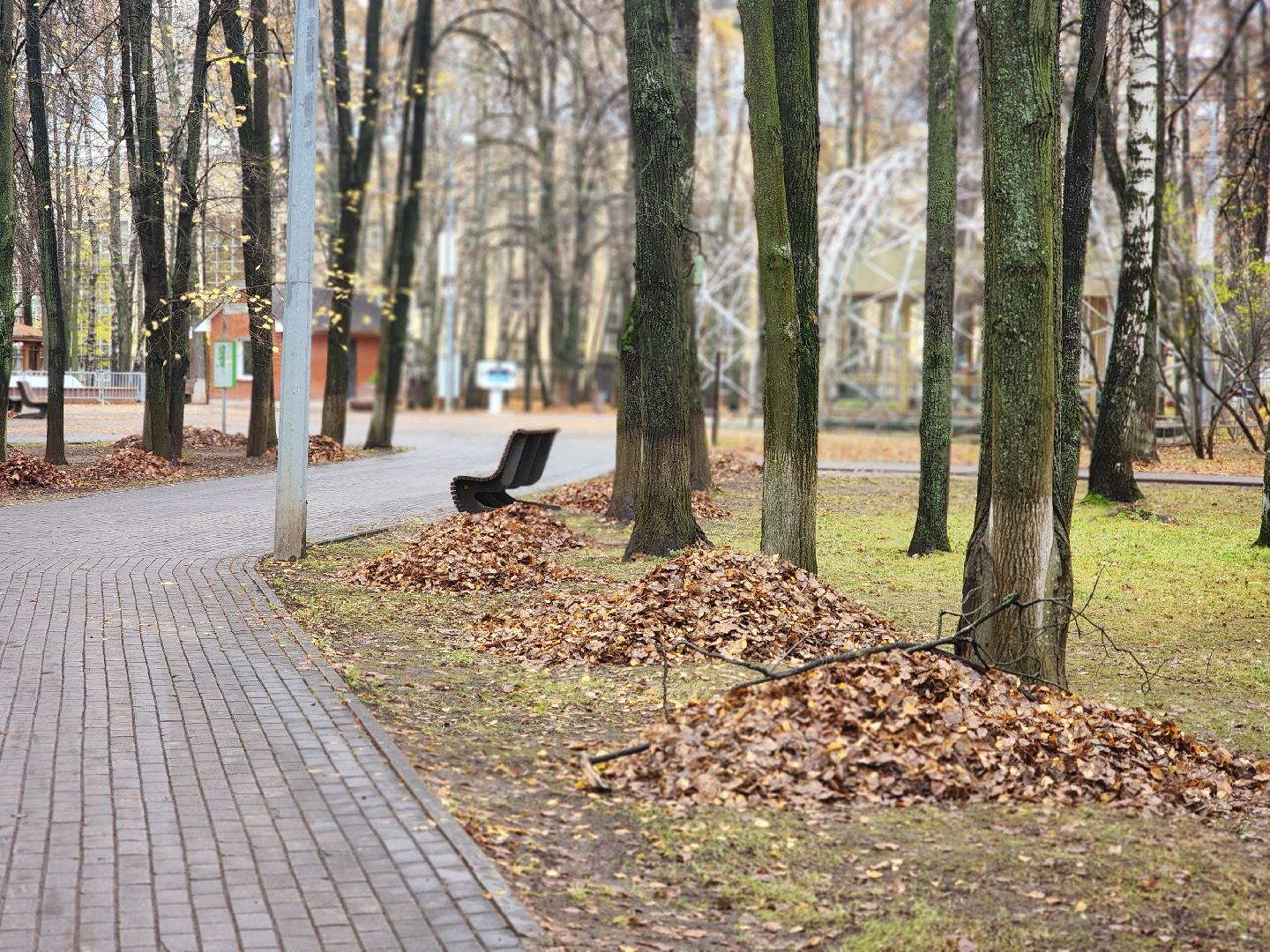 королёв, центральный городской парк, благоустройство, осень, горзеленхозстрой,