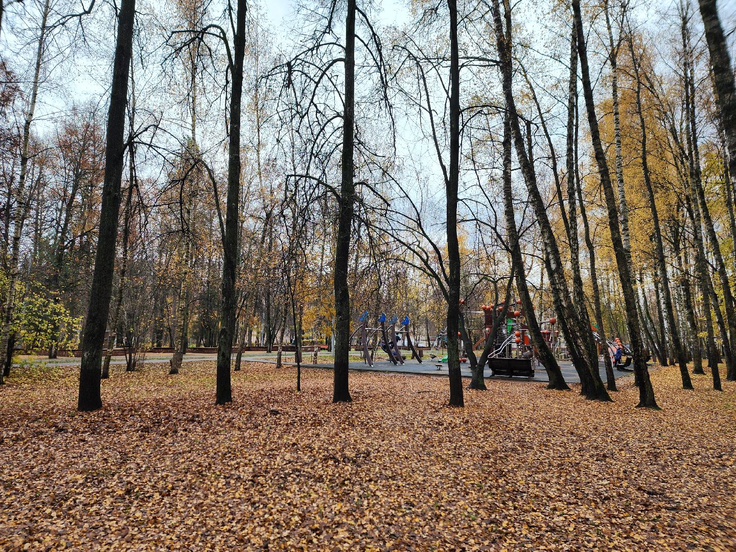 королёв, центральный городской парк, благоустройство, осень, горзеленхозстрой,