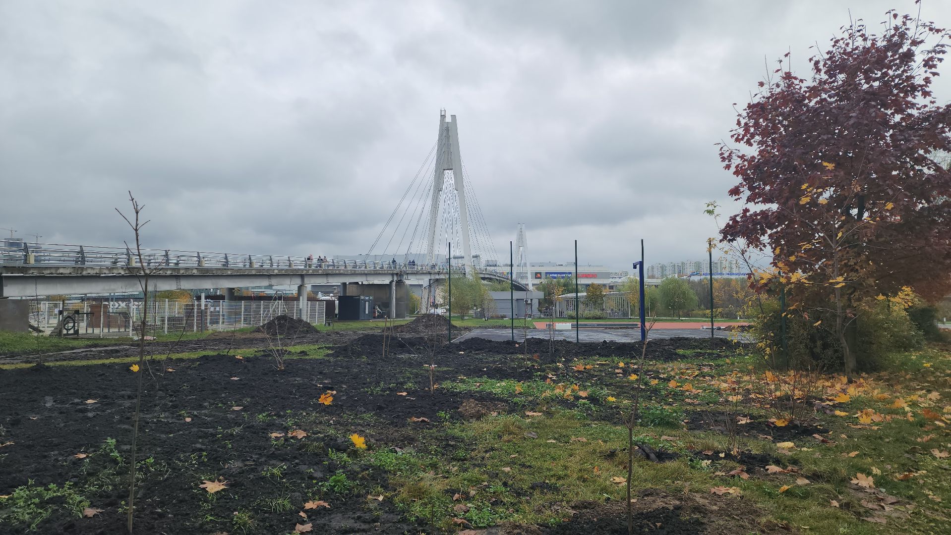 благоустройство, спортивная площадка, павшинская пойма,