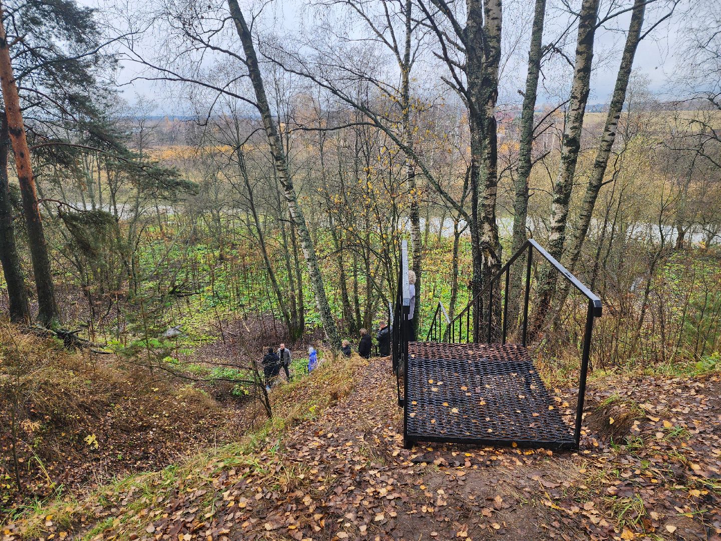 красноармейская, городской округ пушкинский, день добровольца московской области, родник, волонтер,