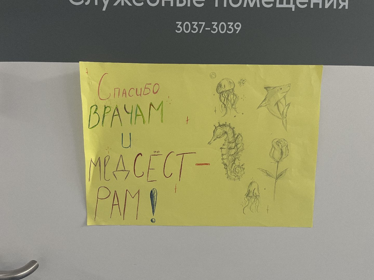 красногорск, медицина, рошаль,