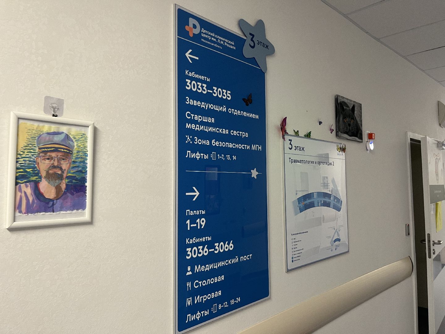 красногорск, медицина, рошаль,