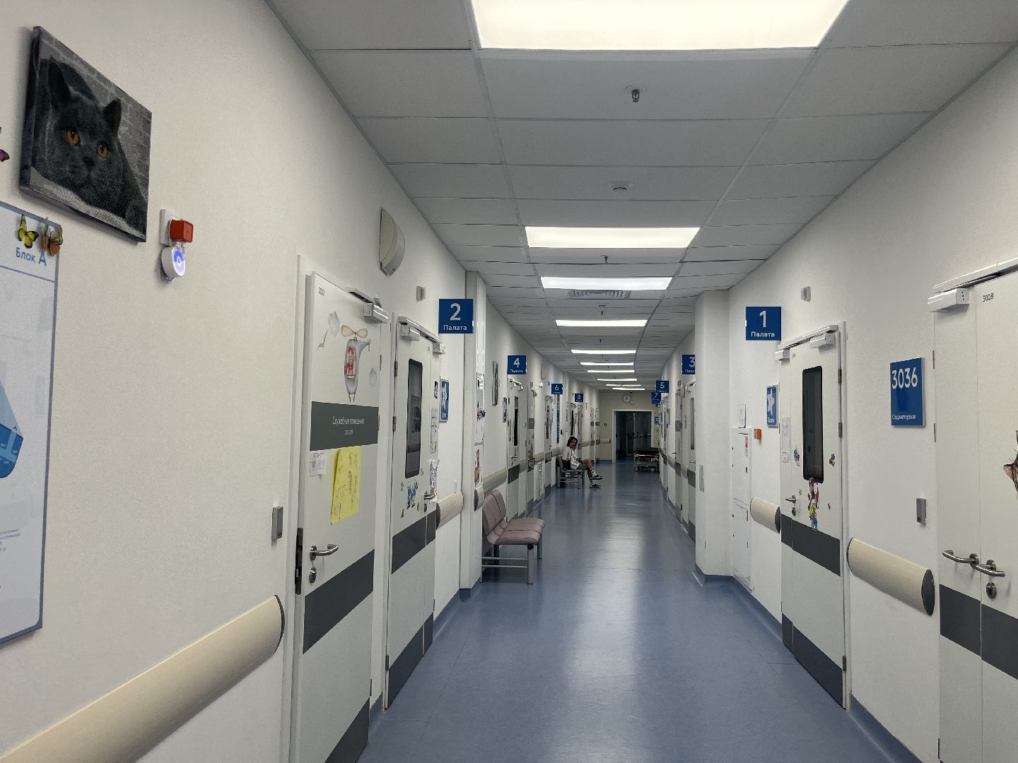 красногорск, медицина, рошаль,