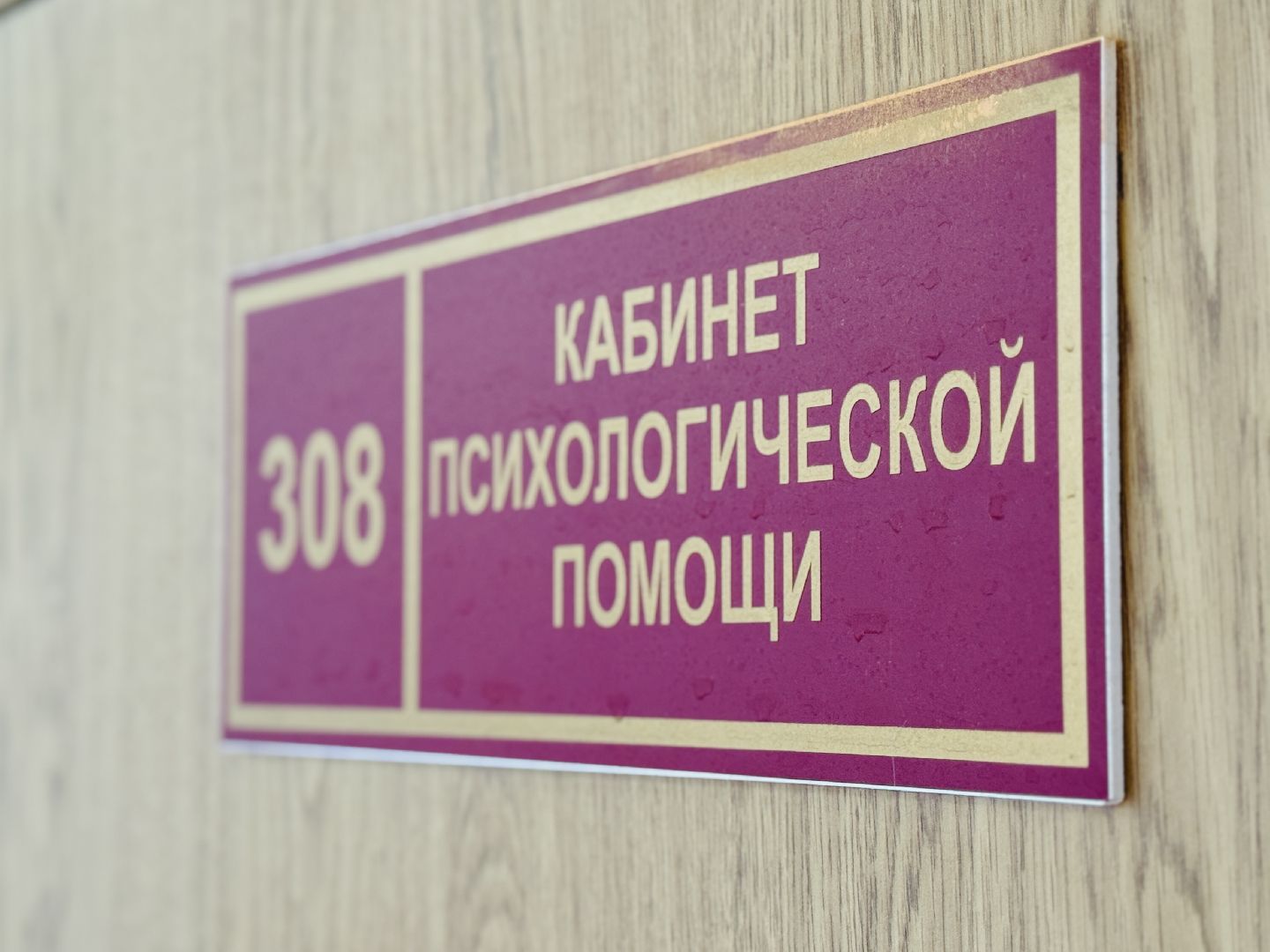 раменское, день психолога, раменская гимназия 2, образование,