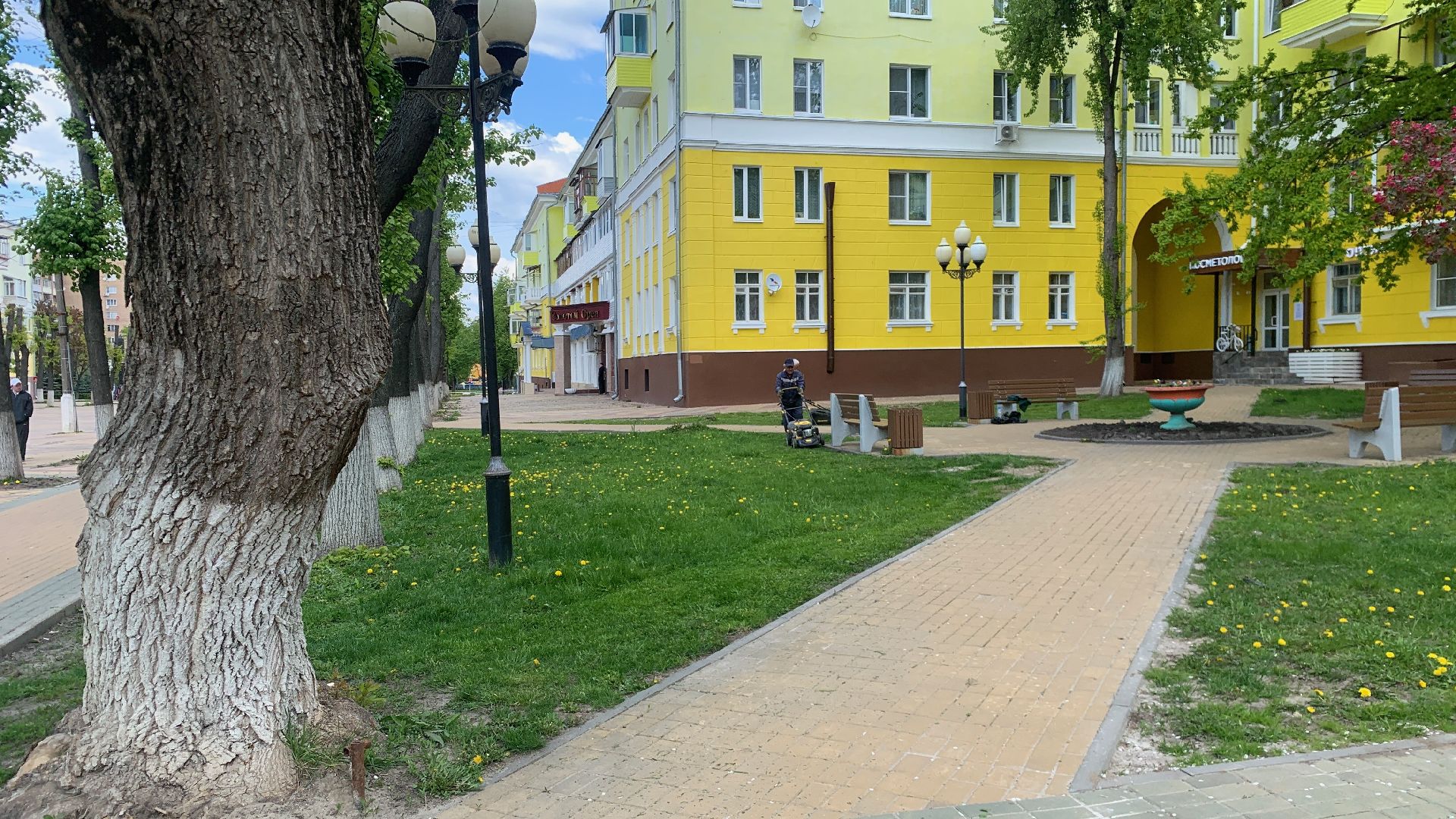 Ступино, газоны, благоустройство