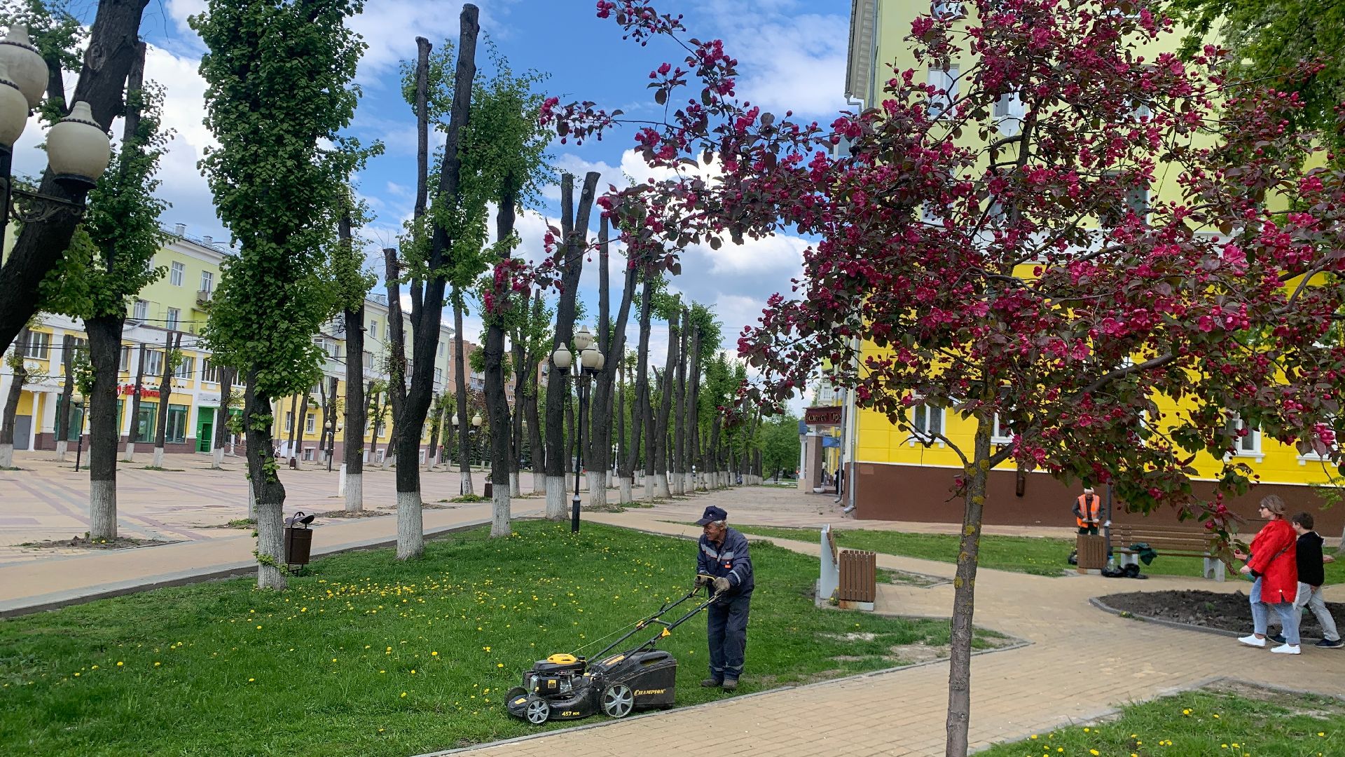 Ступино, газоны, благоустройство