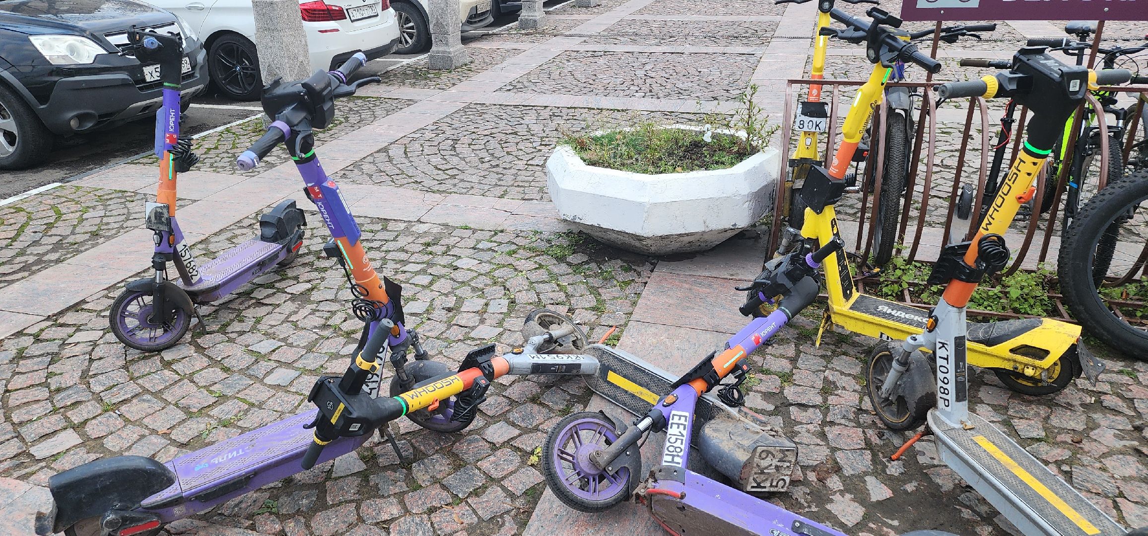 долгопрудный, выездная администиация, диспансеризация, прививка, экг,