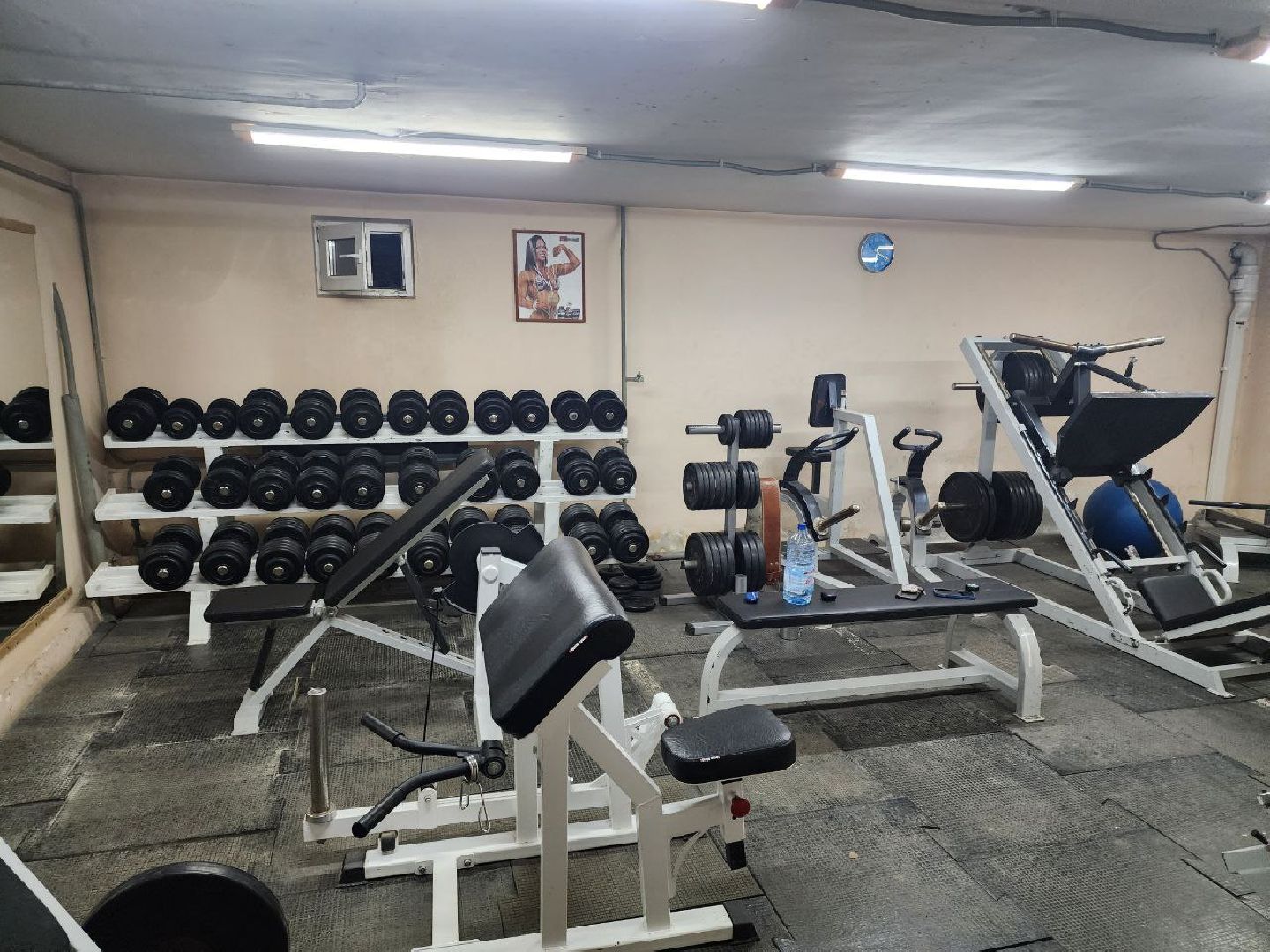 солнечногорск, спорт, чемпион,