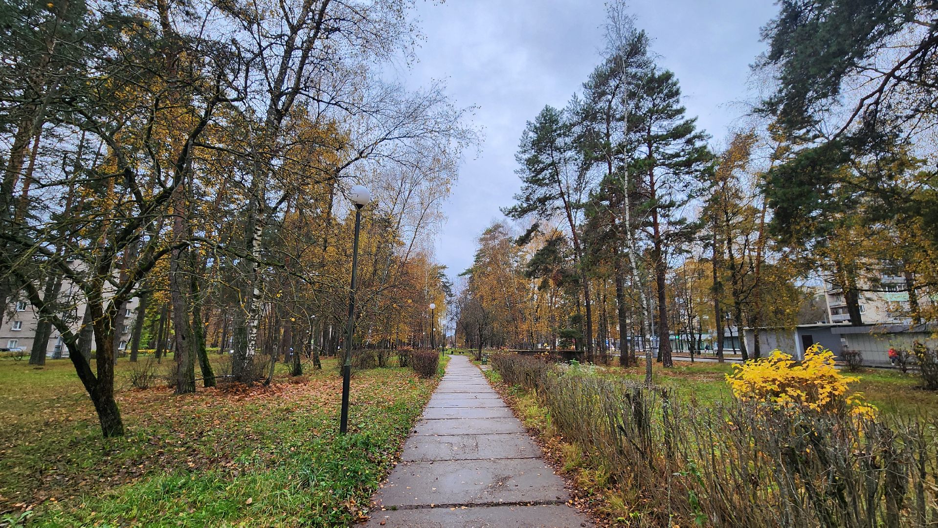 парк мирабель, протвино, заседание рабочей группы,