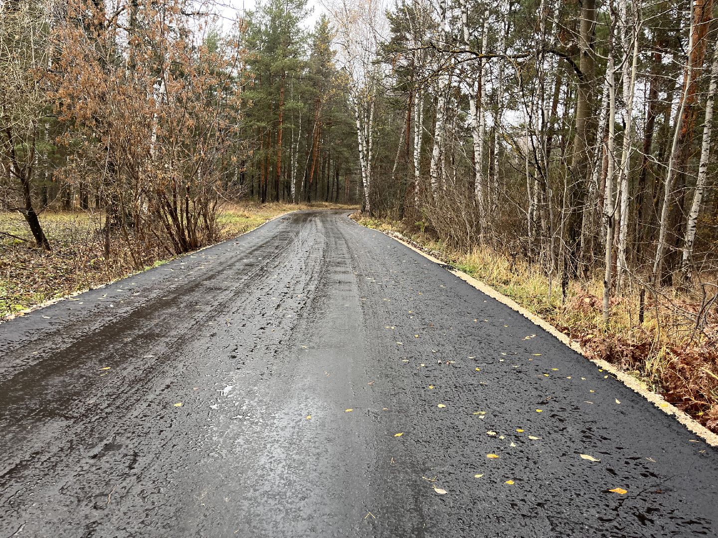 шатура, шатура дороги,