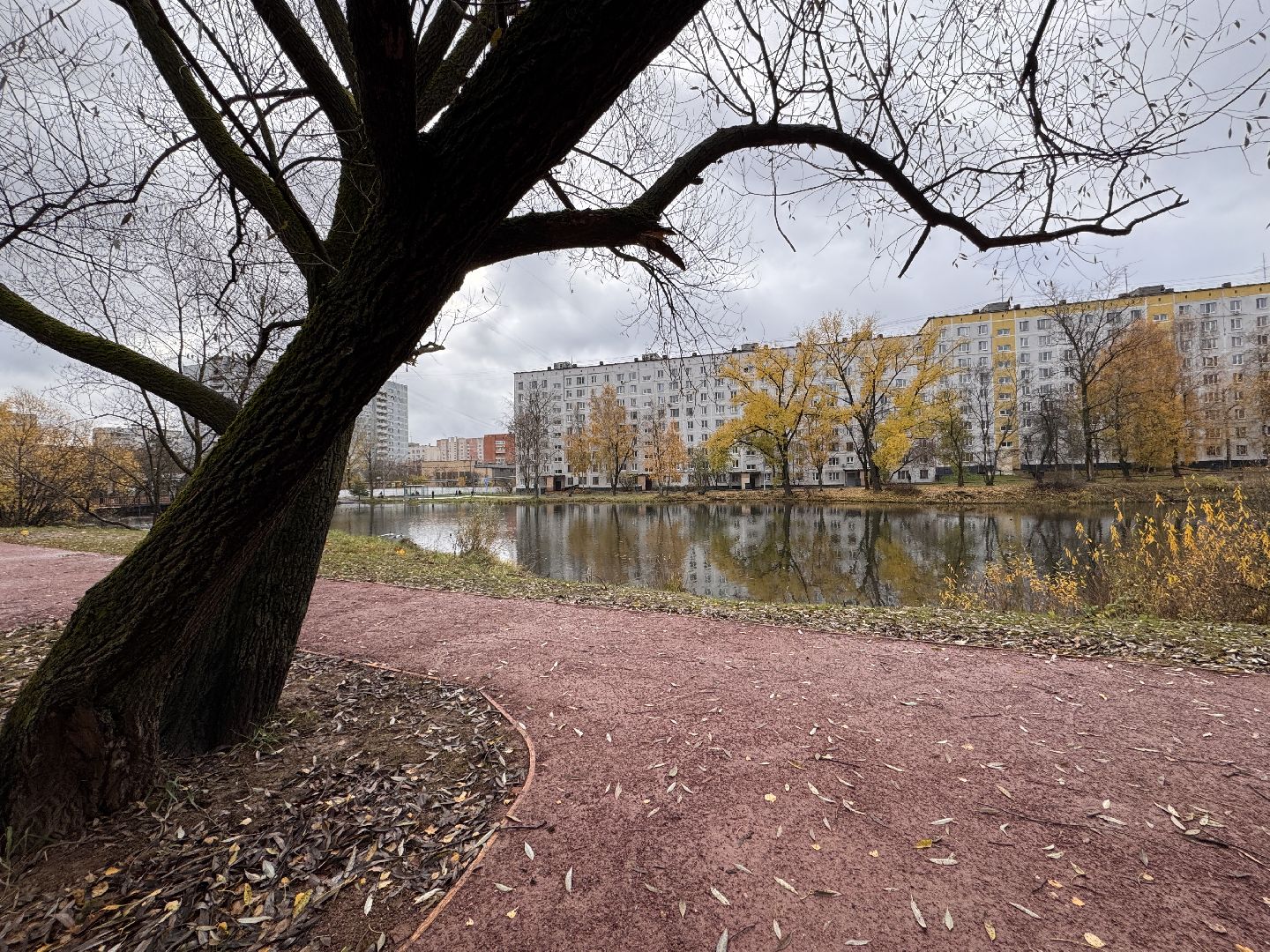 Комсомольский пруд, Хоккейная площадка, ЖК Союзный,