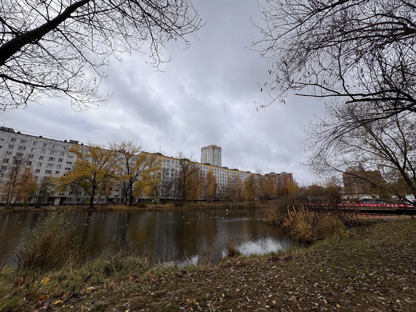 Комсомольский пруд, Хоккейная площадка, ЖК Союзный,