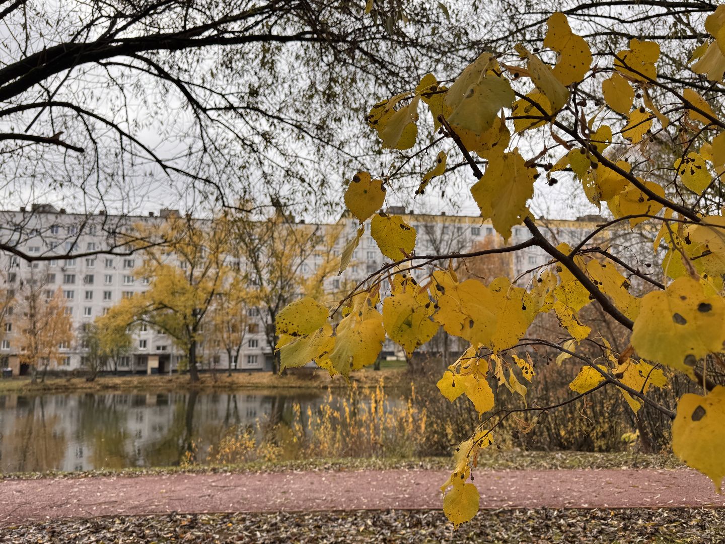 Комсомольский пруд, Хоккейная площадка, ЖК Союзный,