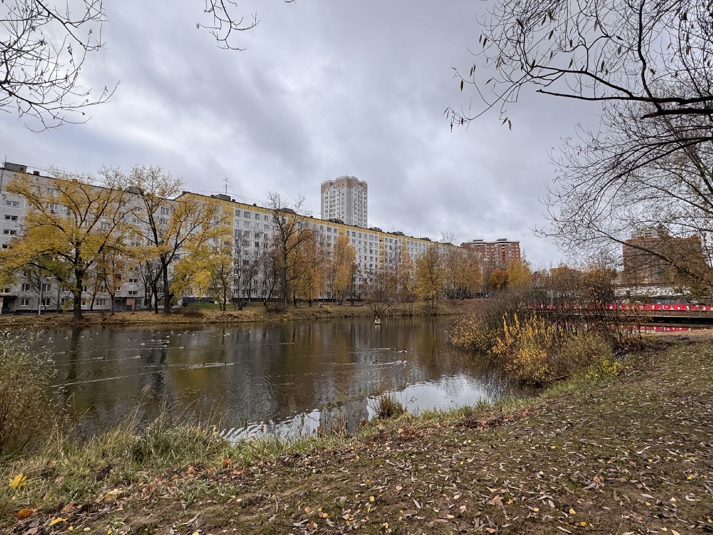 Комсомольский пруд, Хоккейная площадка, ЖК Союзный,