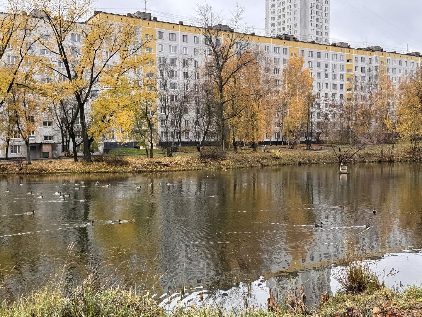 Комсомольский пруд, Хоккейная площадка, ЖК Союзный,