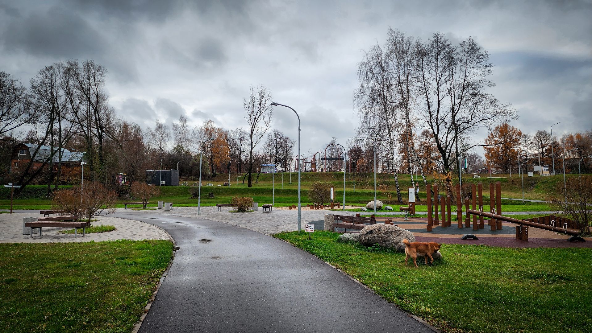 бронницы, парк бронницкий луг, выходные в парке, день народного единства в парке,