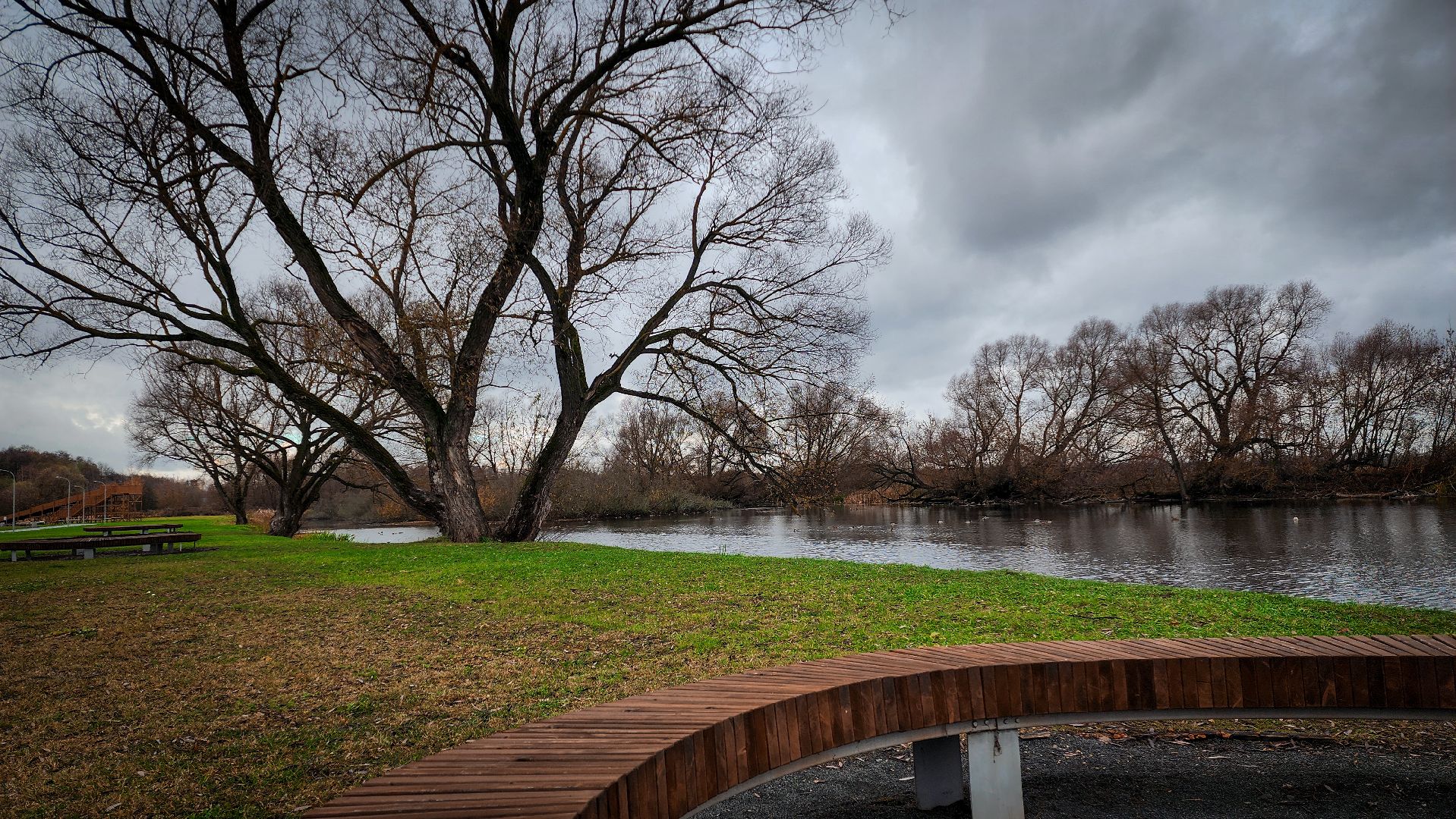 бронницы, парк бронницкий луг, выходные в парке, день народного единства в парке,