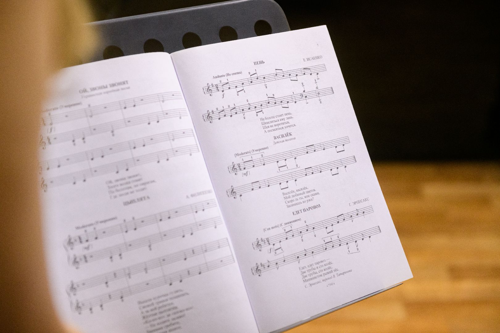 культура, образование, детская музыкальная школа, лыткарино, новый предмет, арфа, молодой педагог,