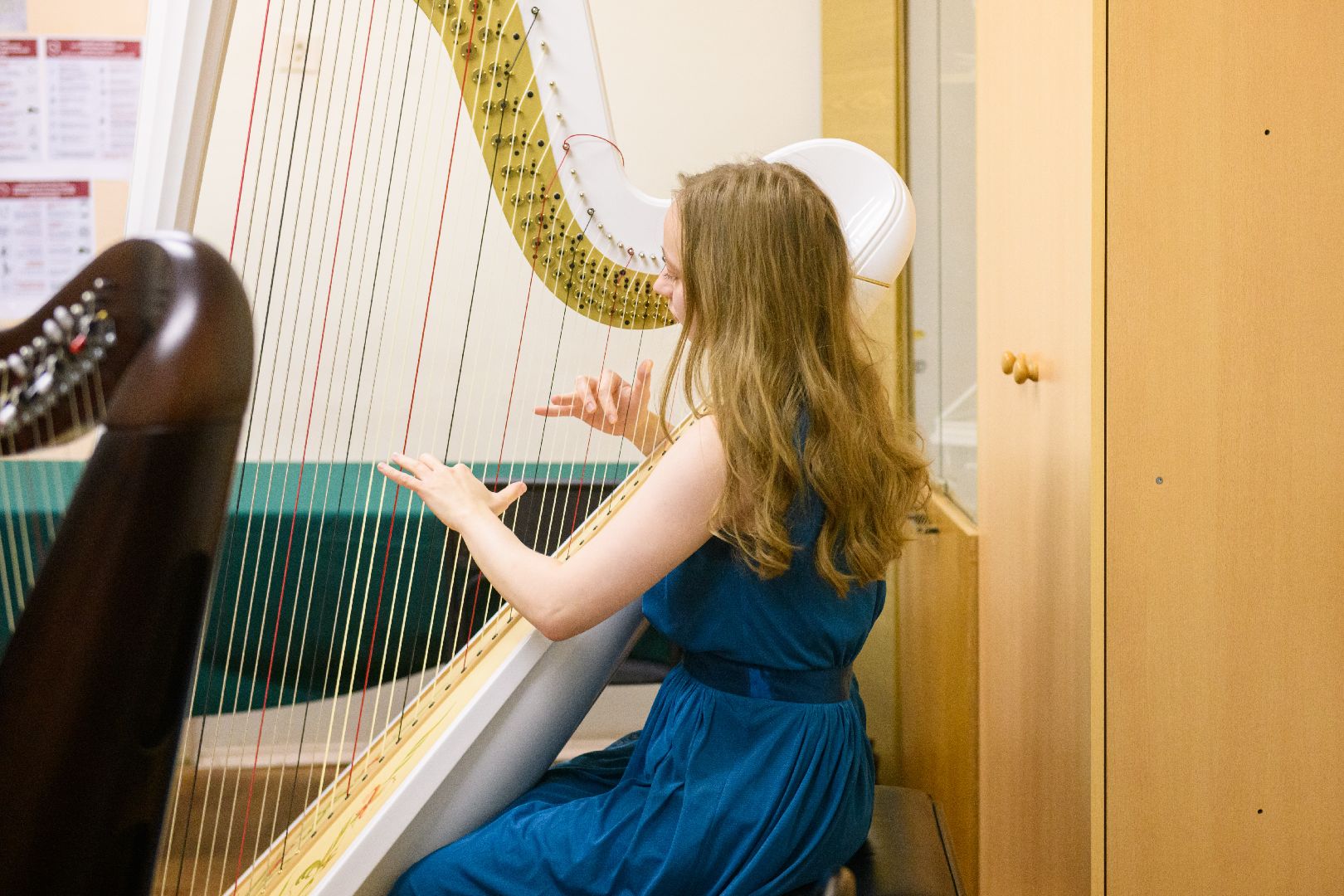 культура, образование, детская музыкальная школа, лыткарино, новый предмет, арфа, молодой педагог,