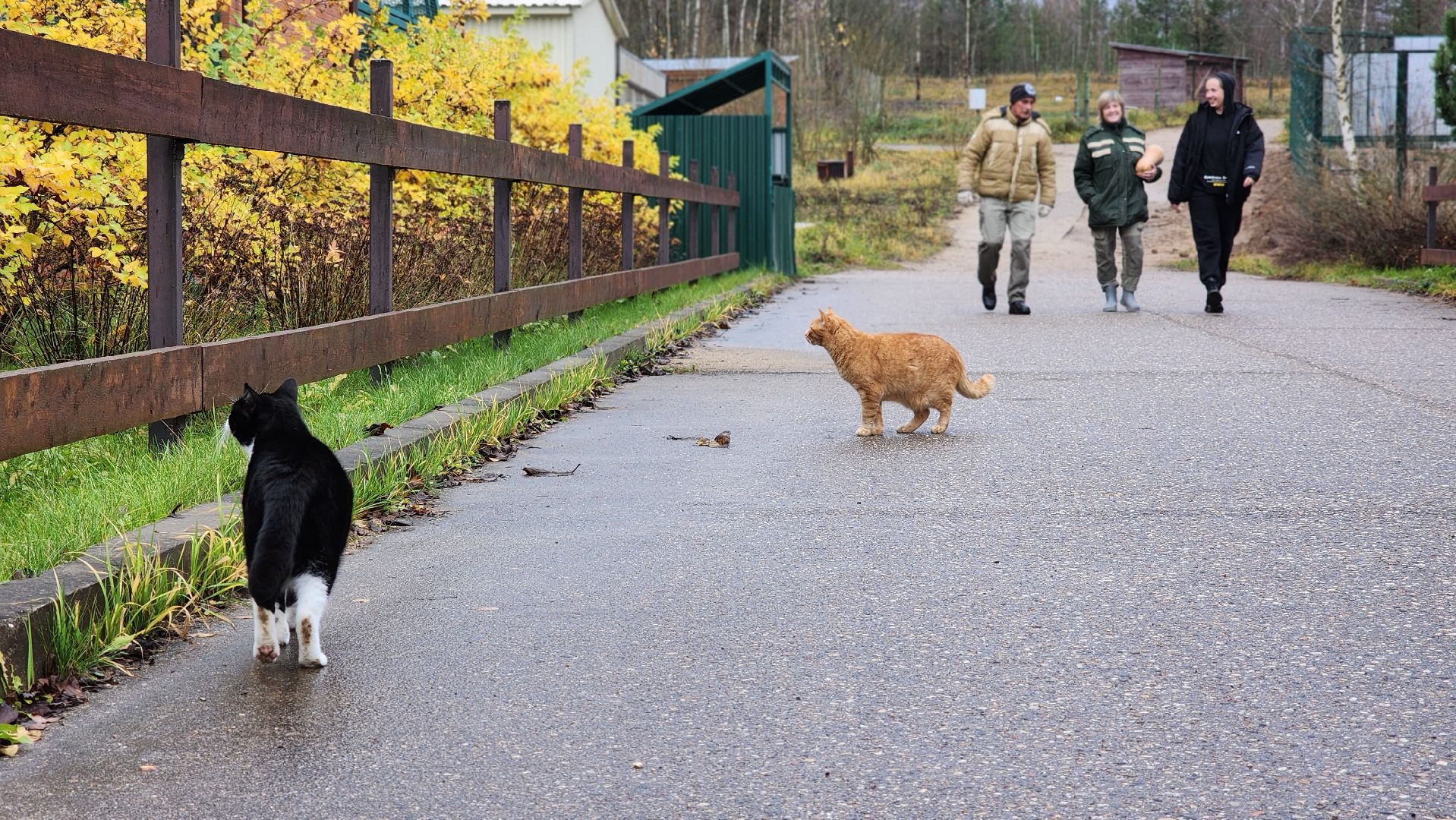 волоколамск, редкие виды животных, куда поехать,