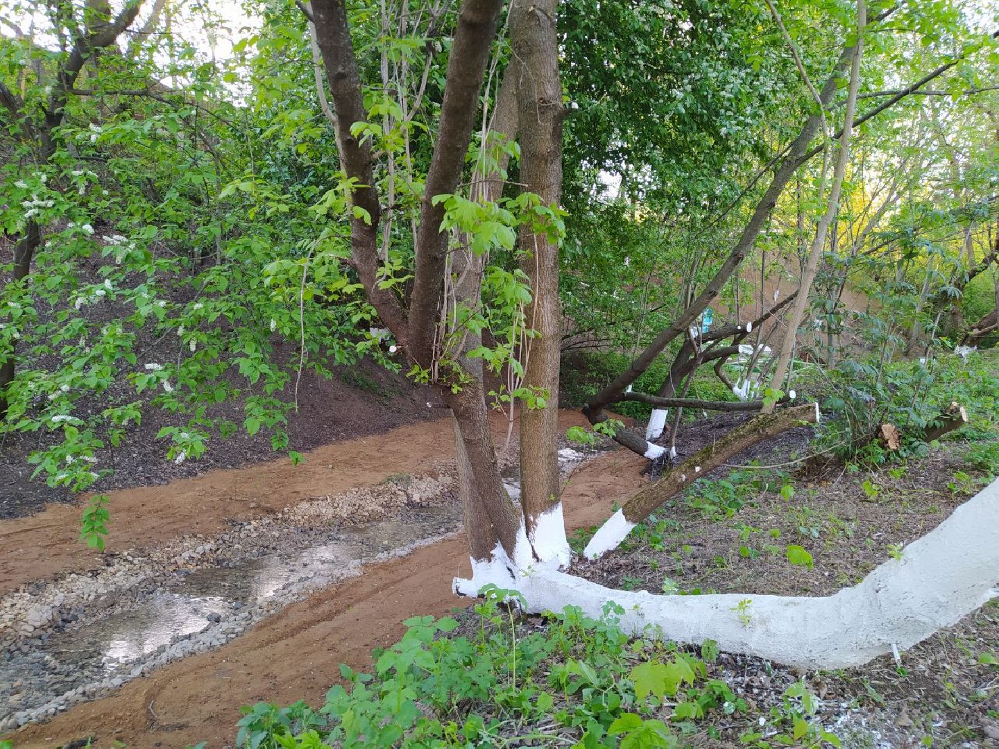 Нахабино, святой источник