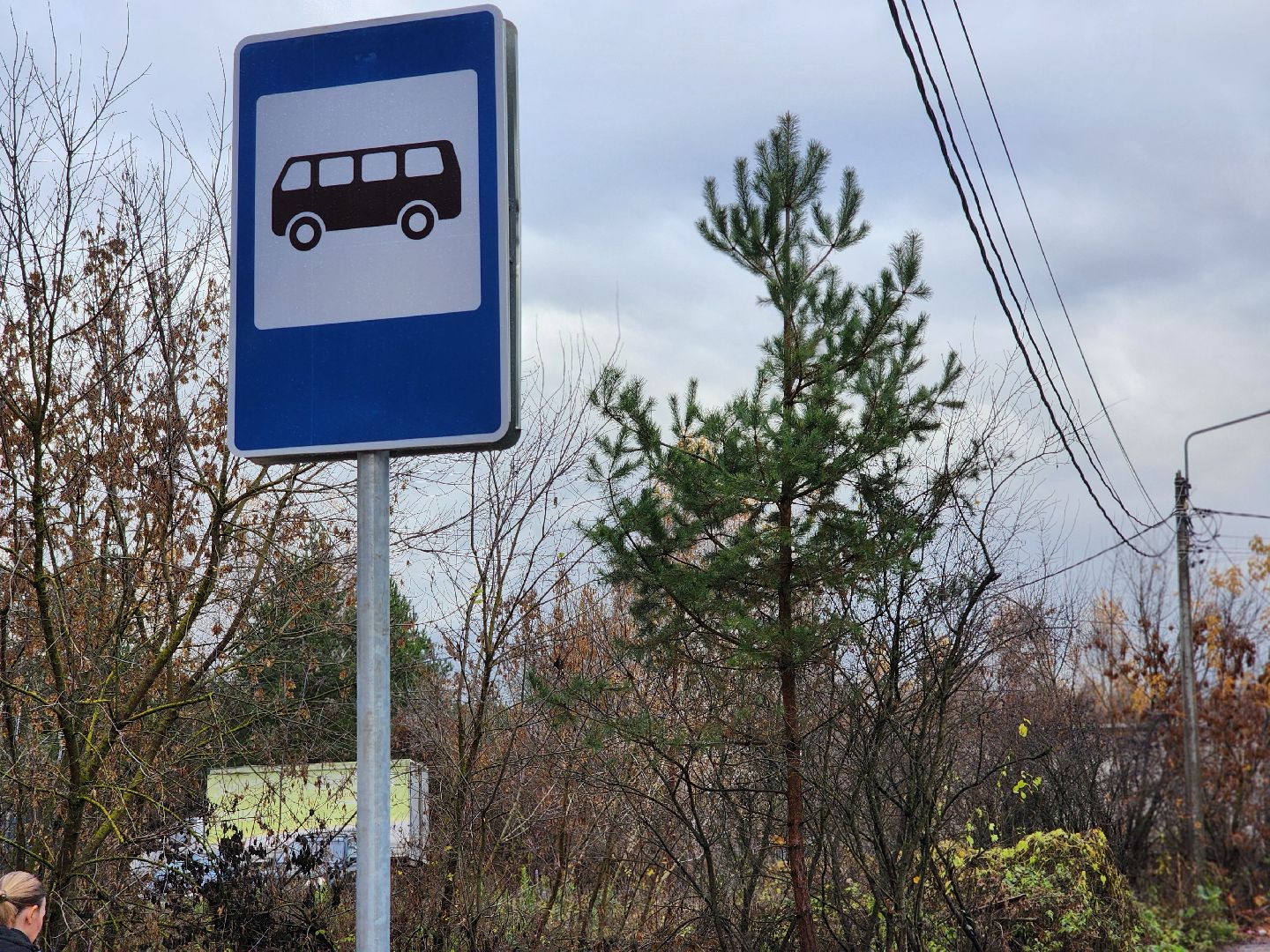 общественный транспорт, остановочный павильон,  автобусный павильон, деревня щемилово, богородский городской округ,