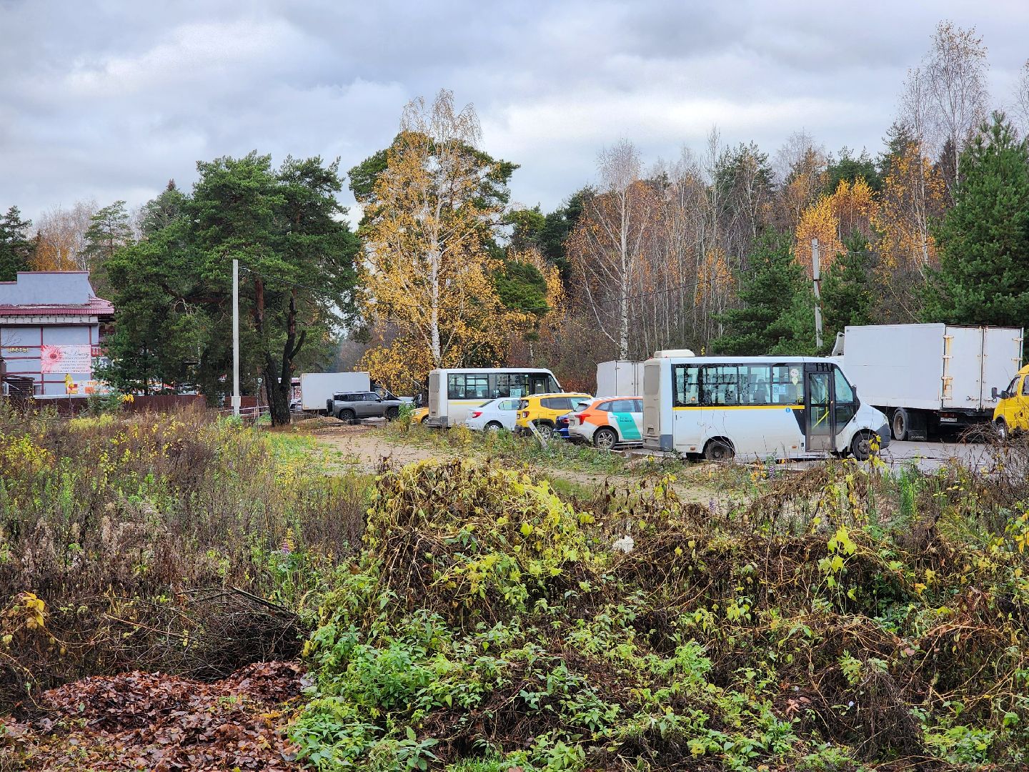 общественный транспорт, остановочный павильон,  автобусный павильон, деревня щемилово, богородский городской округ,