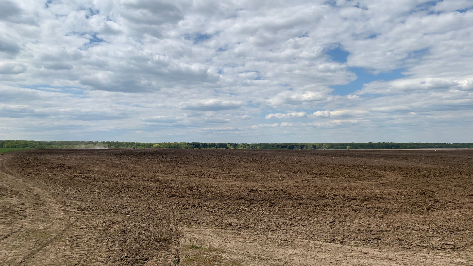 Ступино, сельское хозяйство, Эконива