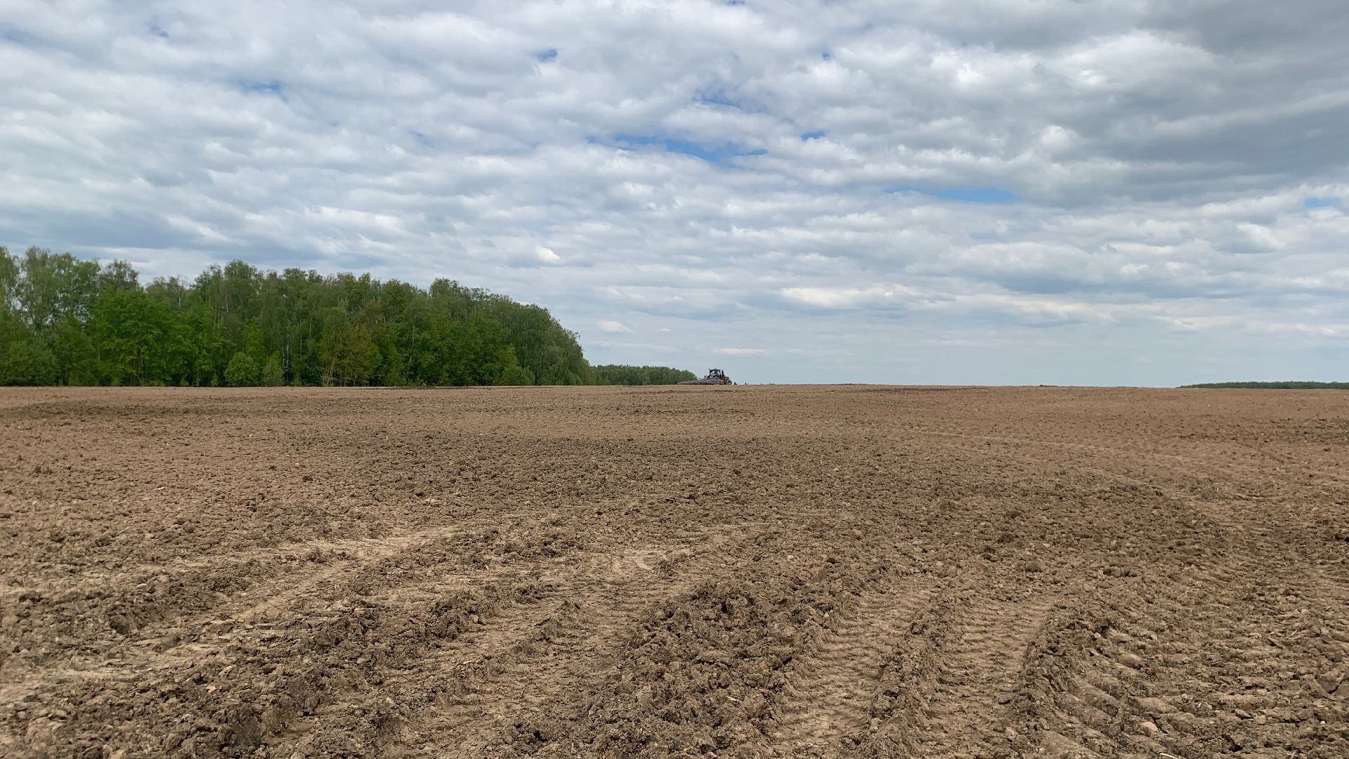 Ступино, сельское хозяйство, Эконива