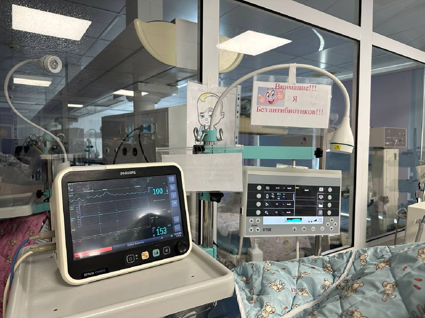 медицина, новорожденные, видное, ивл,